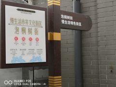 -泡桐树街
