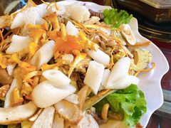 -山大王菌莊