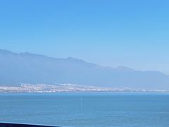 -野菌皇海景野生菌火锅(滨海大道店)