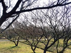 -林屋洞景区