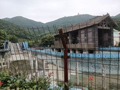 -达蓬山星梦乐园