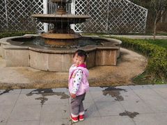 -昆山城市生态森林公园