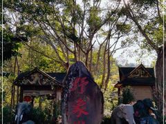 -野象谷景区
