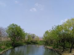 -新江湾城公园