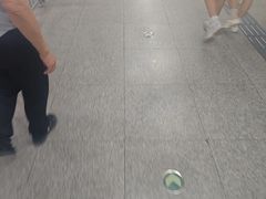 -WFC会仙楼观景台