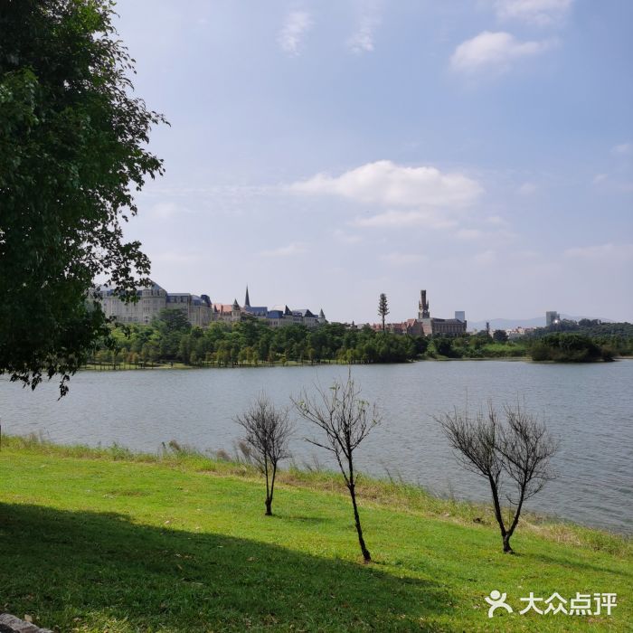 松山湖南湖湾露营营地图片