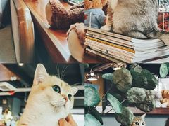 -咖法森林·咖啡  酒吧(天河店)