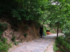 -大岭沟猕猴桃谷风景区