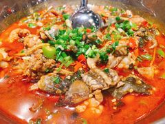 -壹盏灯(惠农店)