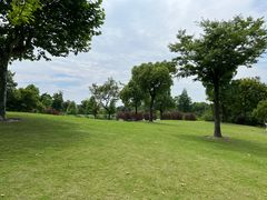 -广富林郊野公园