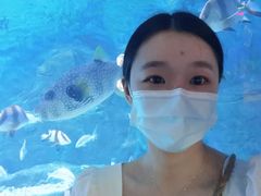 -烟台海昌鲸鲨海洋公园