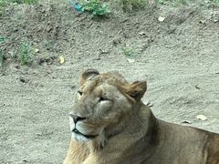 -北京野生动物园