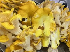-许氏朝鲜族牛肉汤馆