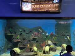 -海合安成都极地海洋公园