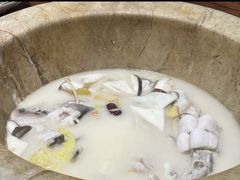 -滇香肴·云南菜蒸汽石锅鱼(云南北路店)