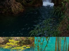 -黔灵山公园
