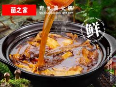 -菌之家·专业纯野生菌火锅·特色炒菌