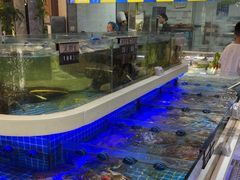 -大众海鲜(巨龙北路店)