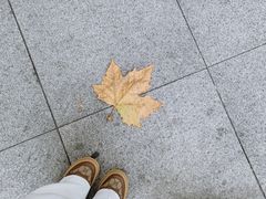 -百川·追风楼沉浸式剧本杀