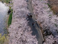 -长田漾湿地公园