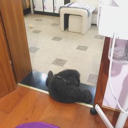 -杉惠素颜美妆皮肤管理中心