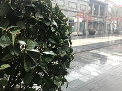 -门框胡同百年卤煮(前门煤市街店)
