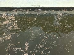 -广东惠东海龟国家级自然保护区