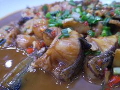 红烧有机鱼尾-全乐鱼馆·淳牌有机鱼直营店
