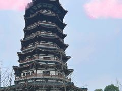 -洋湖国家湿地公园