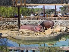 -沈阳森林动物园