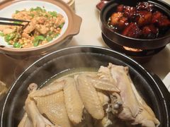 -佬肥猫(国华广场店)