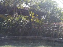 -杭州第一世界大酒店·云曼温泉
