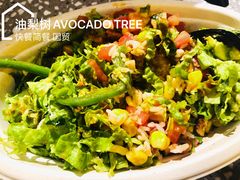 -油梨树AVOCADO TREE(嘉里中心店)