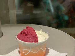 -Dip in Gelato(富民路店)
