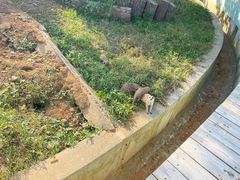 -无锡动物园·太湖欢乐园