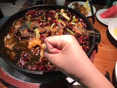 -老板恋上鱼(振华商厦店)