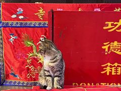 -龙华寺