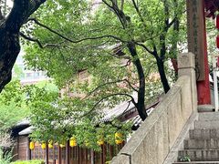 -龙潭水乡
