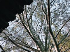 -颐和园