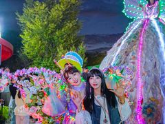 -荷兰花海