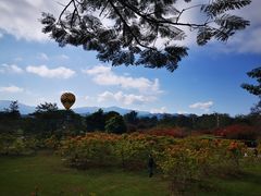 -中国科学院西双版纳热带植物园