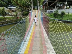 -苏州太湖西山岛开心农场