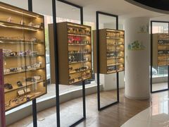 -天津大学爱尔眼科医院(天津院区)