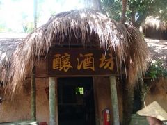 -海南槟榔谷黎苗文化旅游区