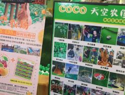 点击看大图 -可可天空农场(中大店)