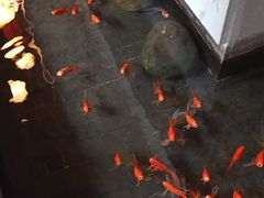 -蓉城老妈火锅(双林路店)