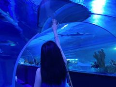 -成都浩海立方海洋公园