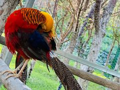 -水上乐园·欢乐世界