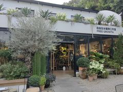 -自由生长植物工作室(深港花卉中心店)