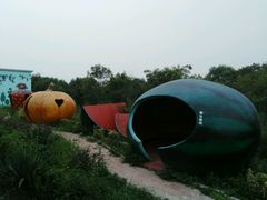 android_upload_pic-兰陵国家农业公园